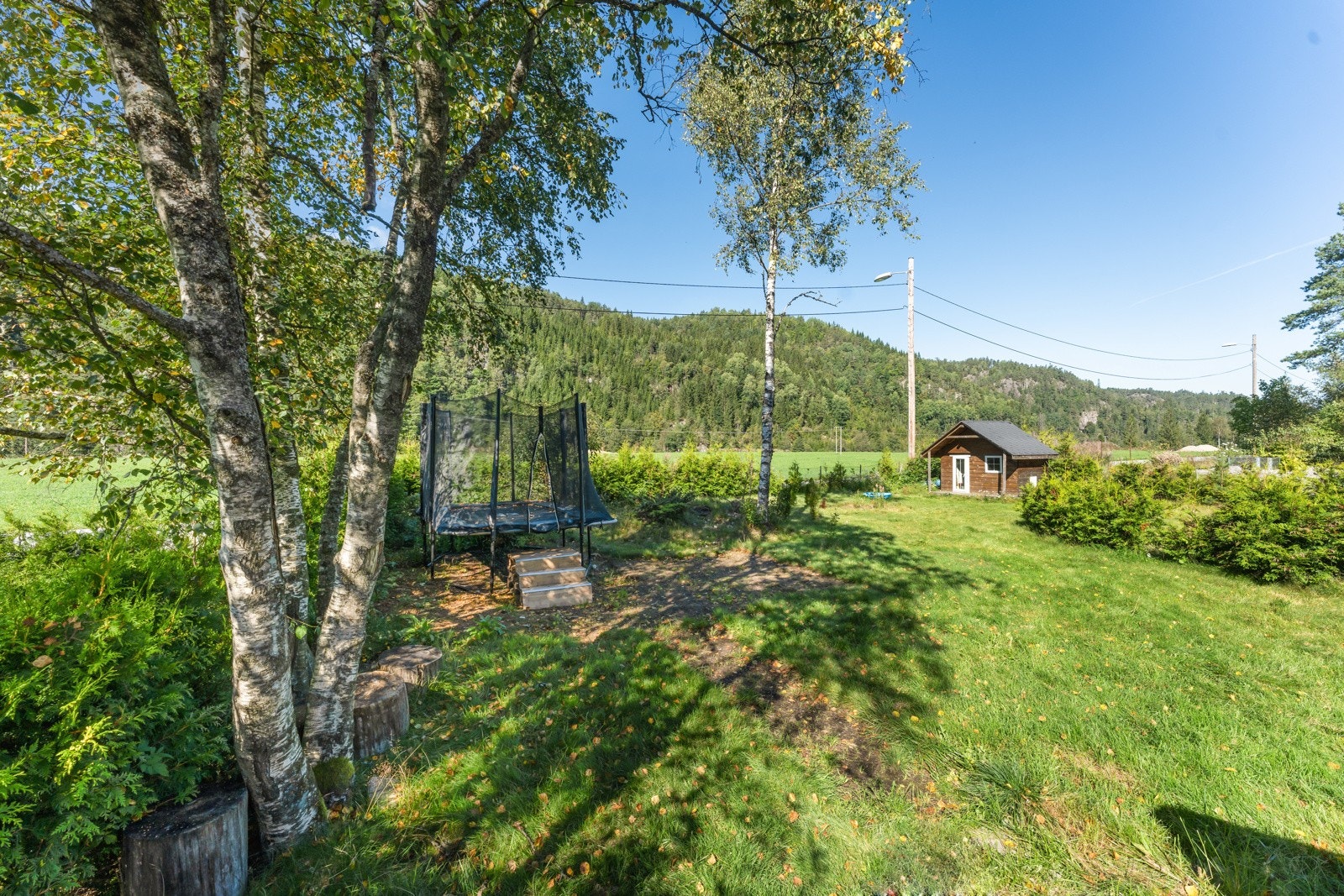 Romlig hage med plen, hekk og beplantning Galleribilde