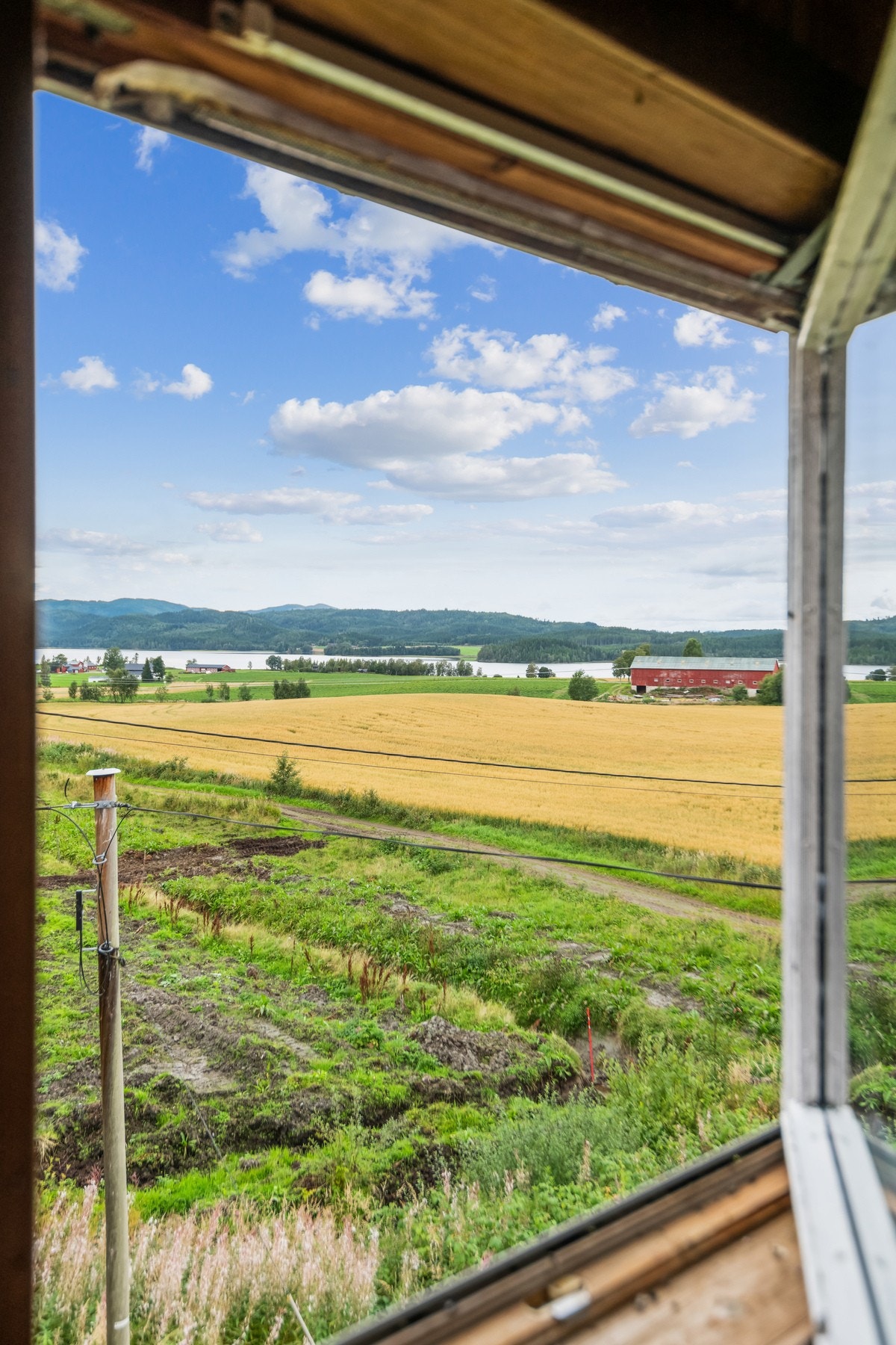 God utsikt med flott natur i skjermede omgivelser. Galleribilde