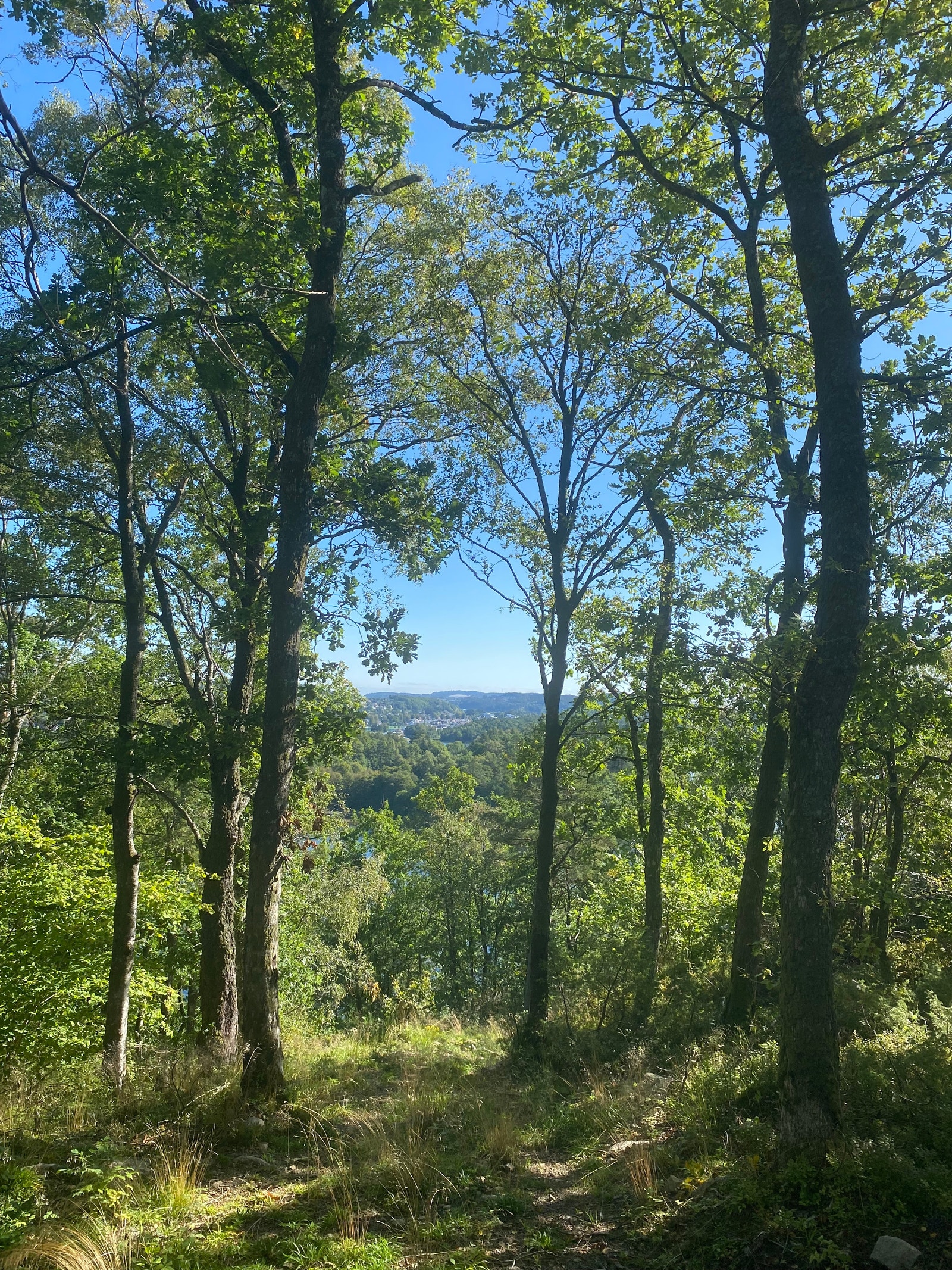 Vakkert naturområde med mange turmuligheter. Galleribilde
