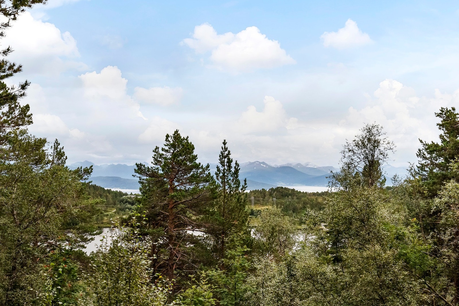 Utsikt Galleribilde