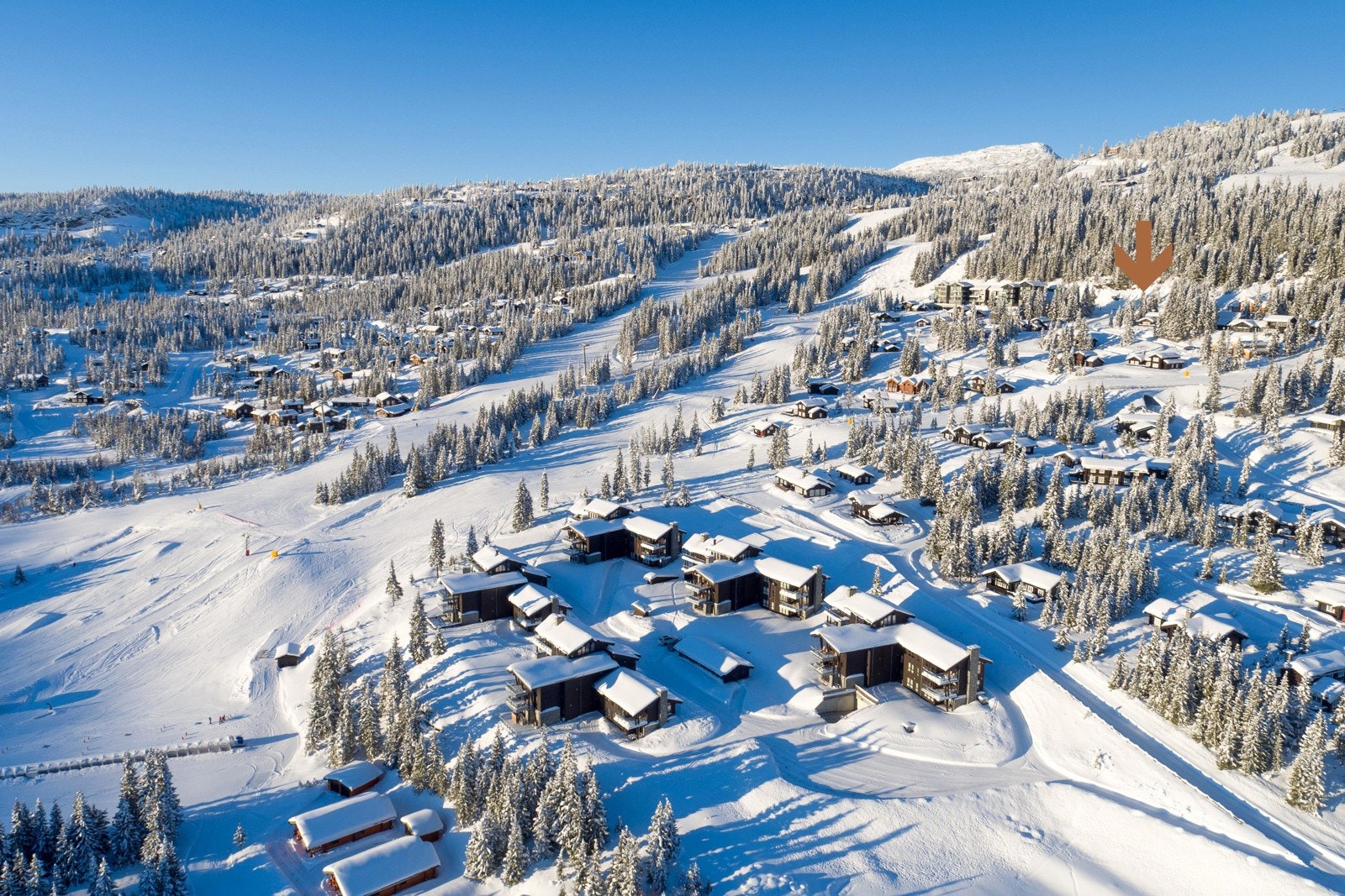 Sentralt plassert på vestsiden med gangavstand til f.eks Tyrihans, Gondolen Fjellbistro og Lettvint Galleribilde