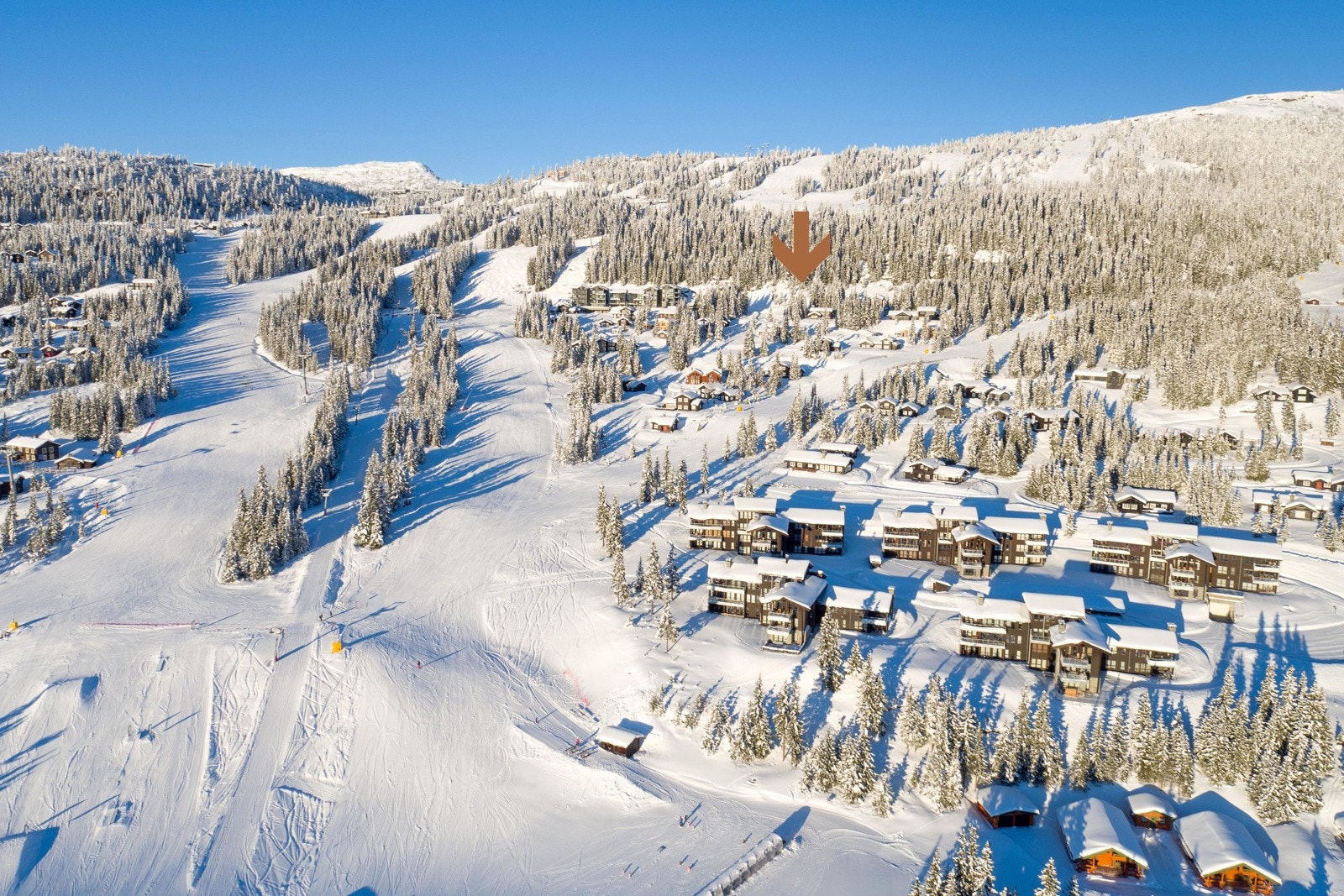 Sentralt plassert på vestsiden med gangavstand til f.eks Tyrihans, Gondolen Fjellbistro og Lettvint Galleribilde