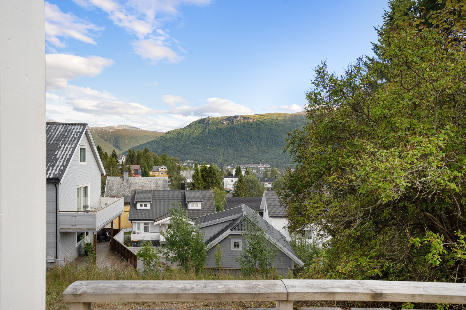 Utsikt fra samme veranda.
