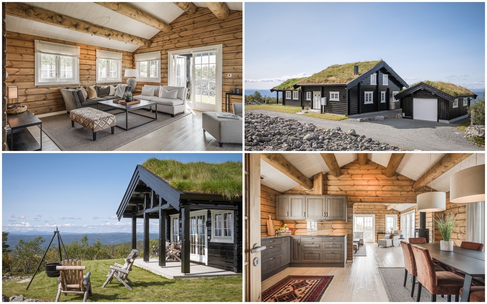 Velkommen til Renåfjellet og Orrleiken 28! Galleribilde