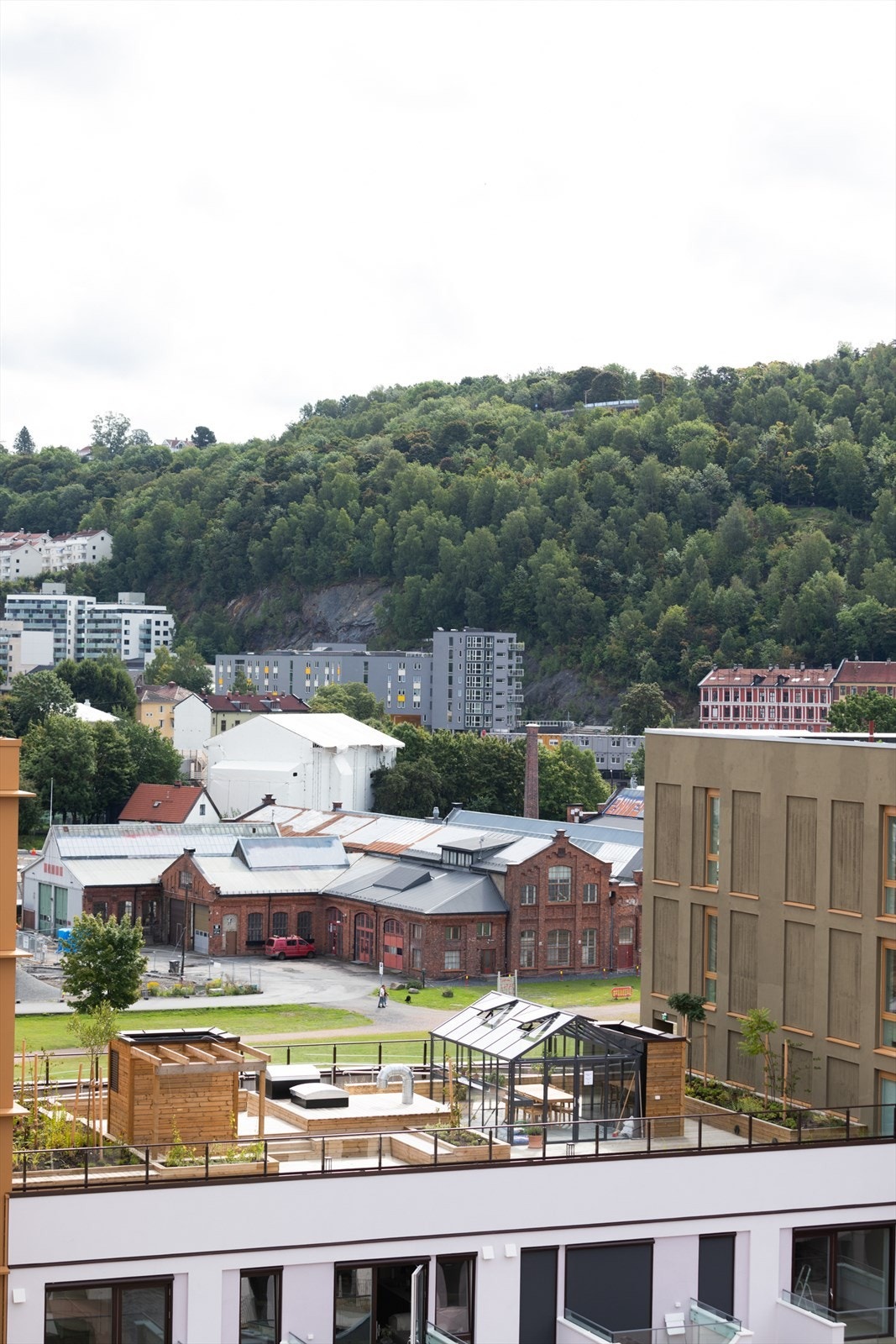Felles takterrasse med drivhus Galleribilde