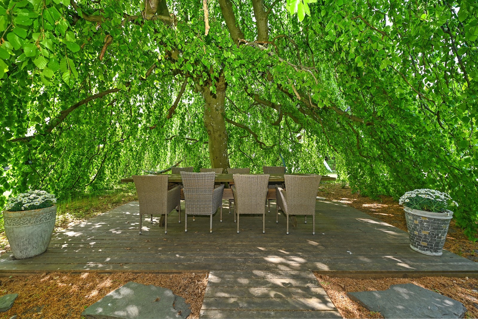 Det er også en unik sittegruppe under hengebøka. Galleribilde