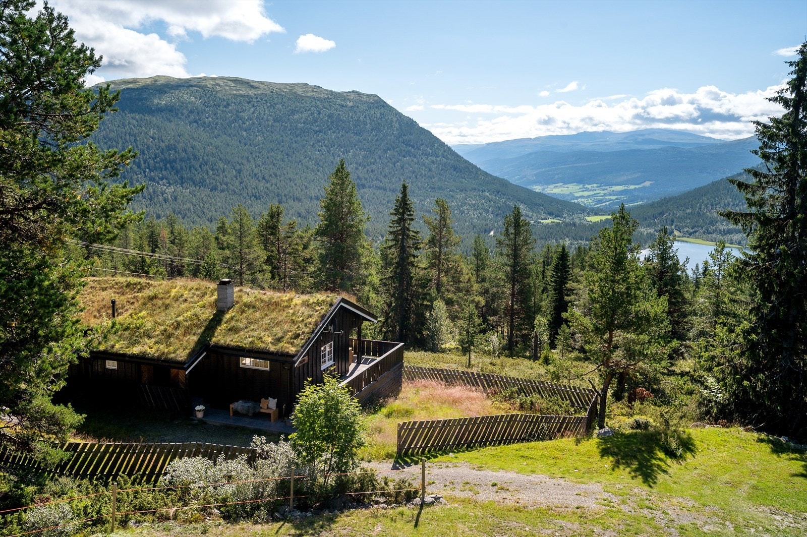 Fantastisk utsikt. Galleribilde