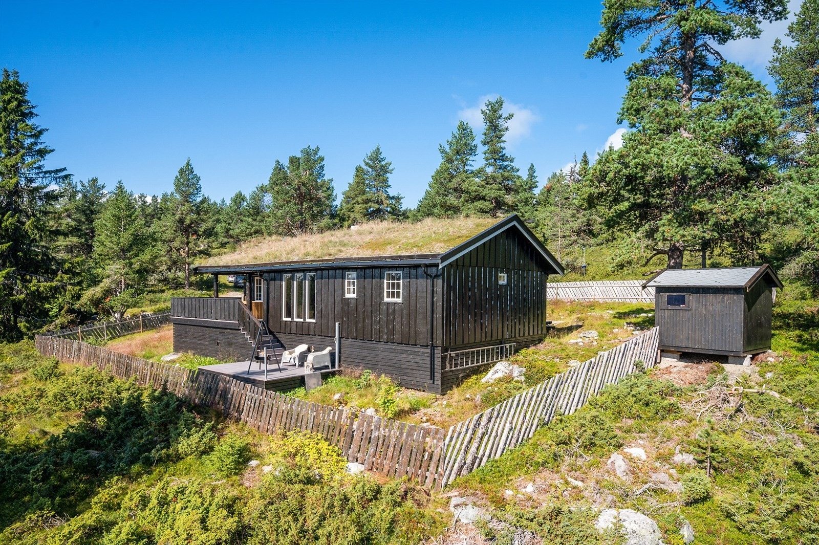 Velkommen på visning! Galleribilde