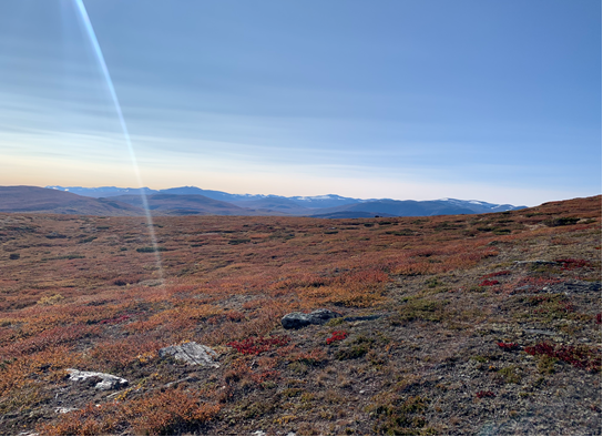 Bringsfjellet ligger rett bak hytta. Med ca. 20 minutters gang når man 1000 moh. Bilde viser fra Bringsfjellet mot Jotunheimen. Galleribilde