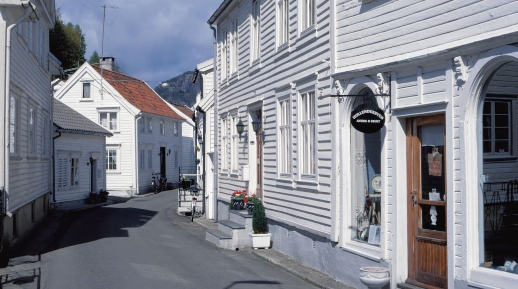 Trenger du innslag av noe litt mer urban er ikke Flekkefjord sentrum langt unna, enten det er med bilen eller egen båt. I Flekkefjord sentrum er det nok av parkeringsplasser og det er også gjestehavn. Galleribilde