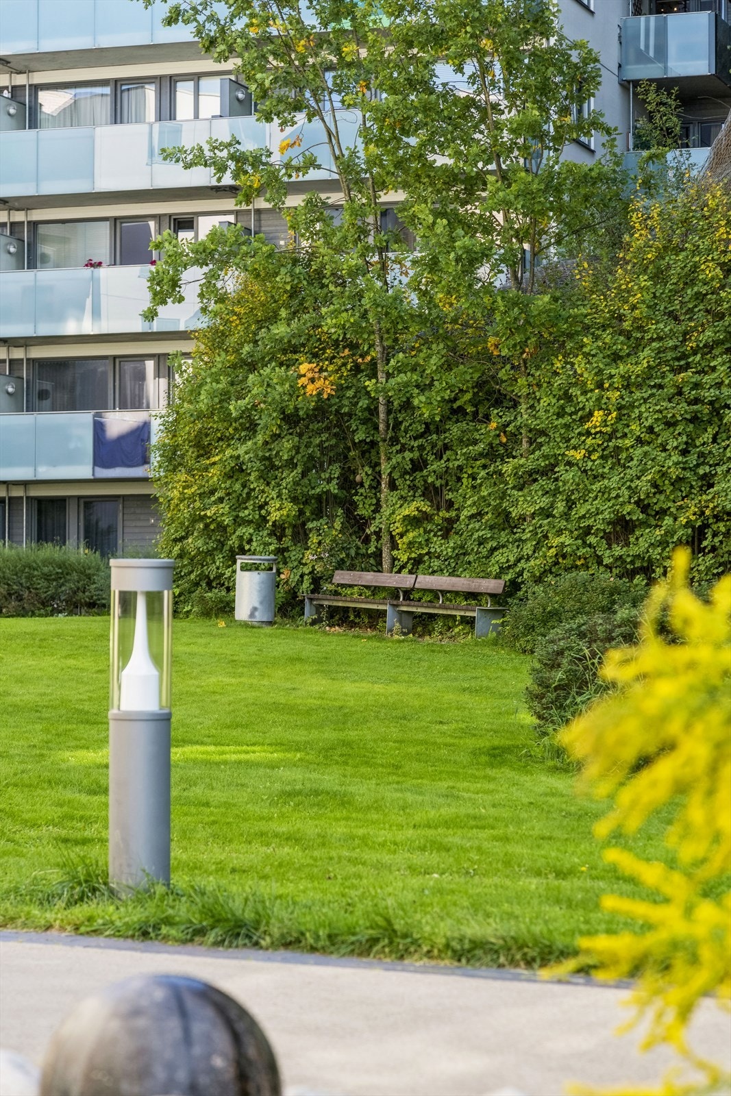 Grønt og fredelig felles bakgård med ettermiddagssol og sittegrupper. Galleribilde