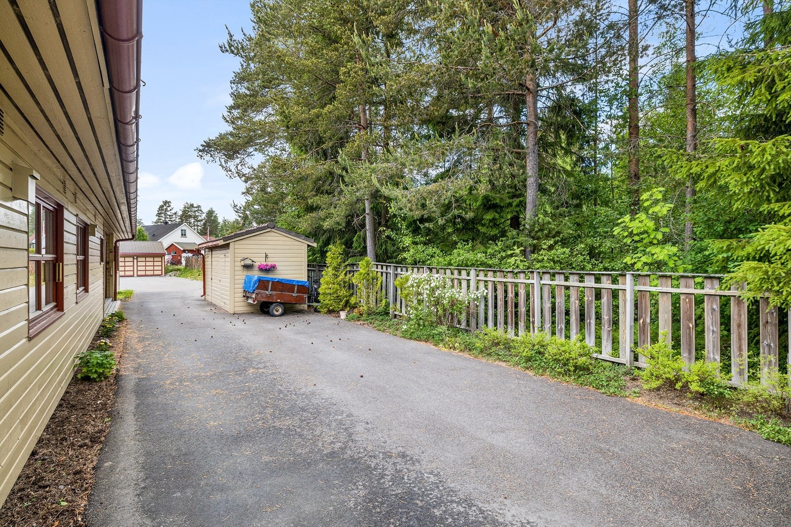 1-51.jpg Galleribilde