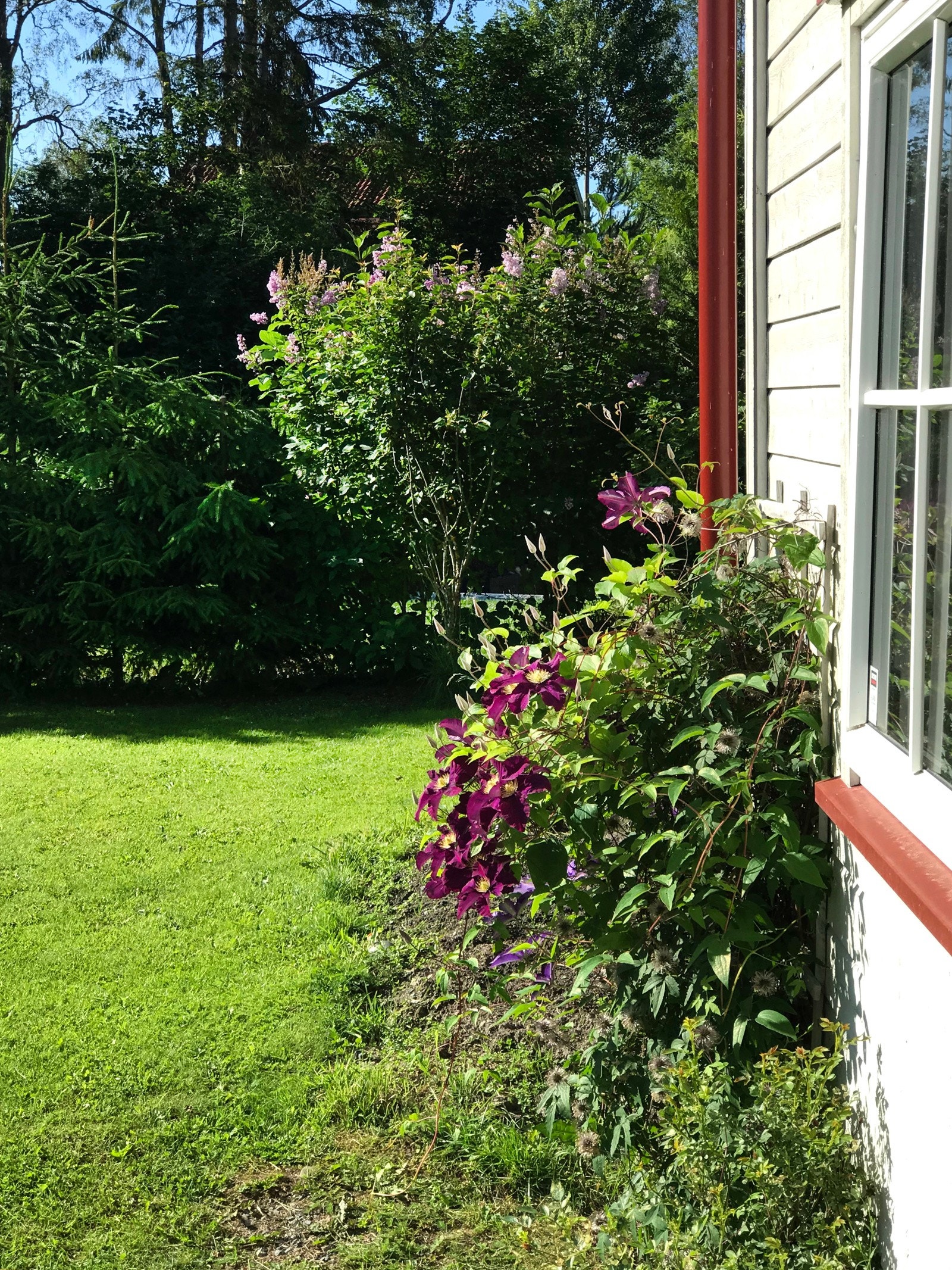 Eiendommen er rett og slett vakker og frodig om sommeren (selgers sommerbilder). Galleribilde