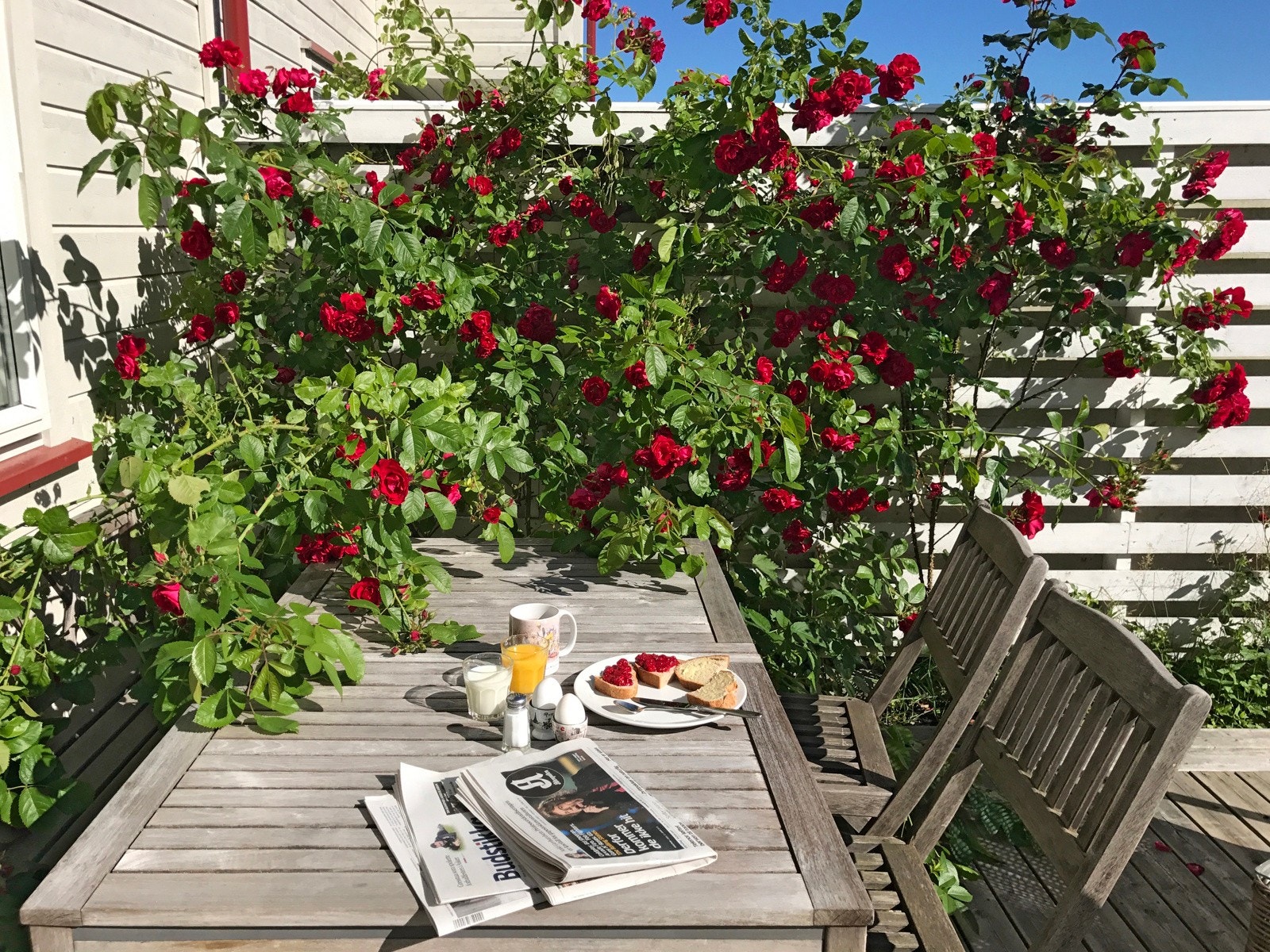 (selgers sommerbilder). Galleribilde
