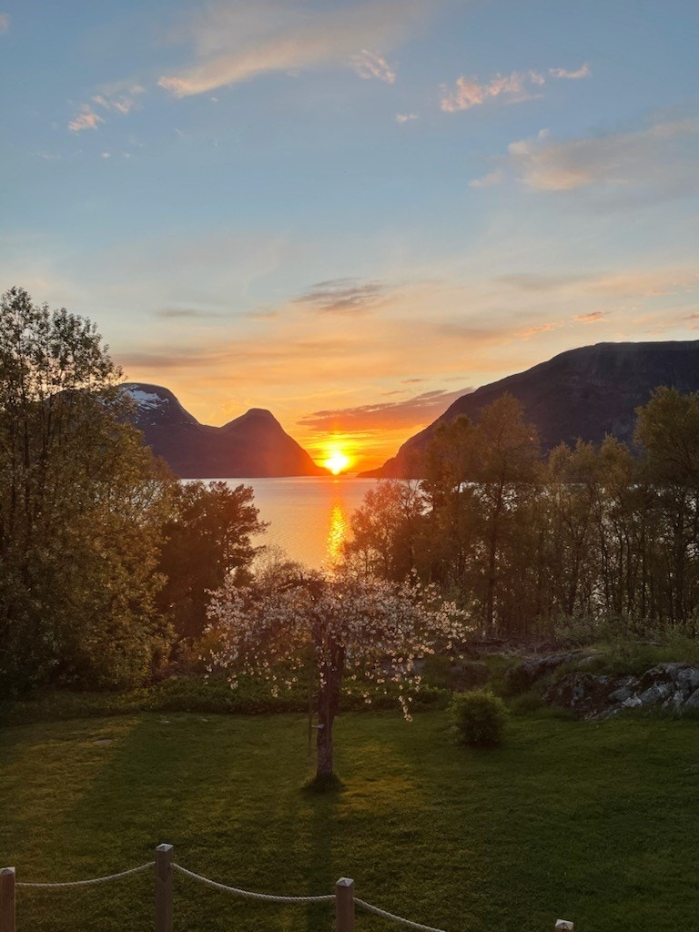 Områdebilde tatt av selger Galleribilde