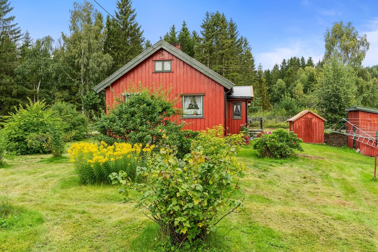 Tomten er opparbeidet med plen og beplantning. Galleribilde