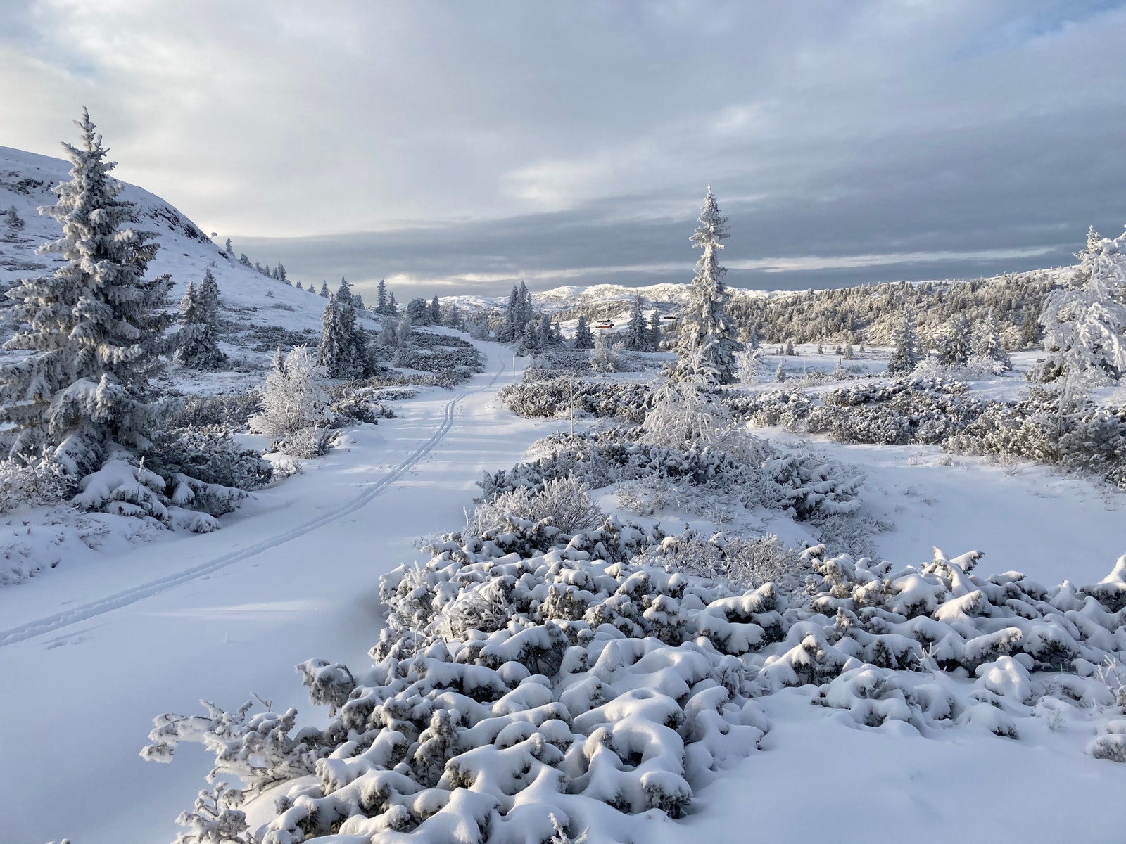 Vinterbilde i nærområdet Galleribilde