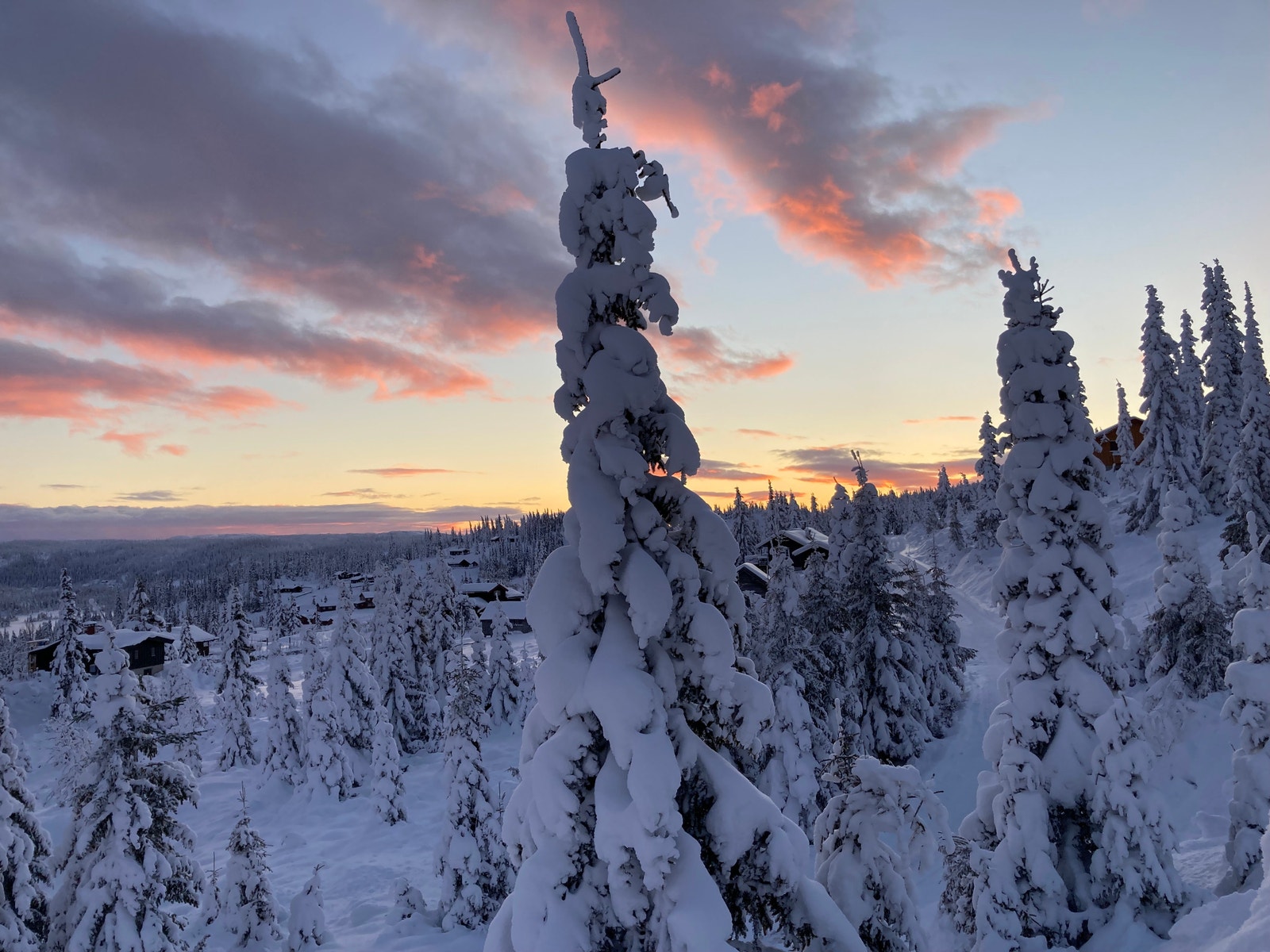 Vinterbilde i nærområdet Galleribilde