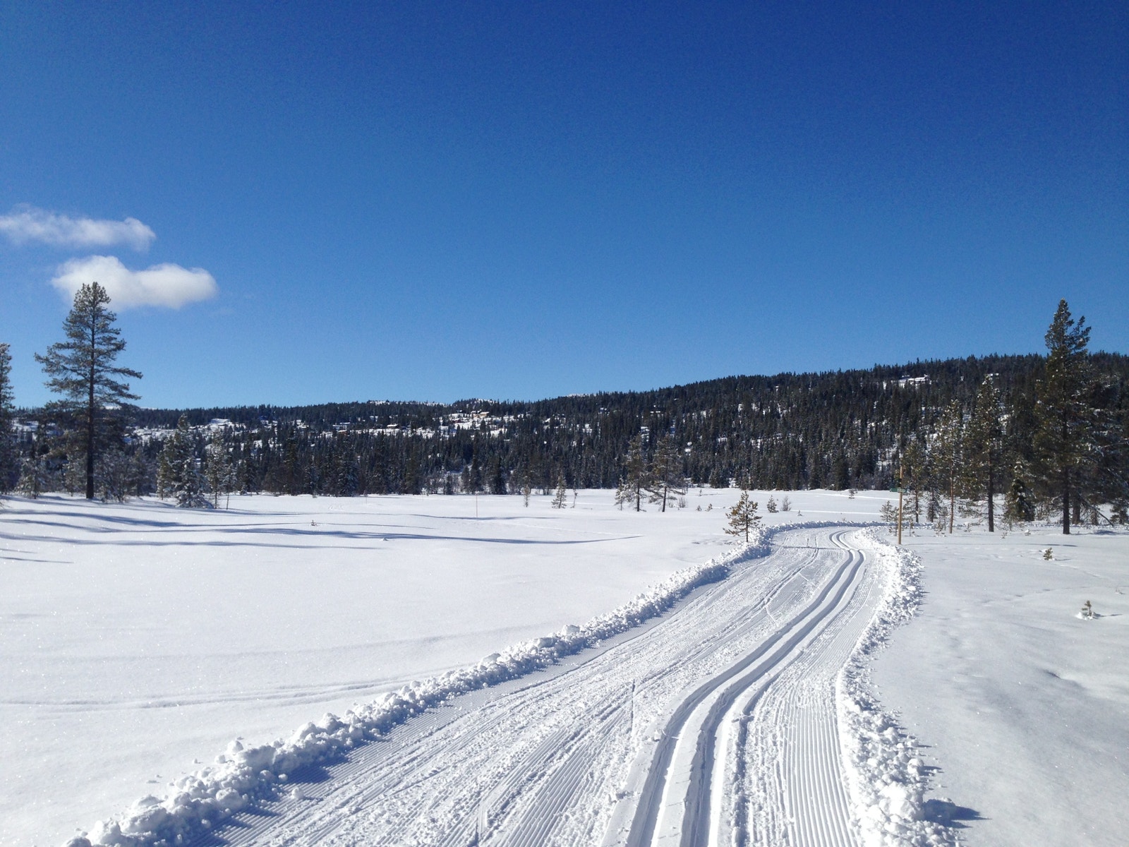 Vinterbilde i nærområdet Galleribilde