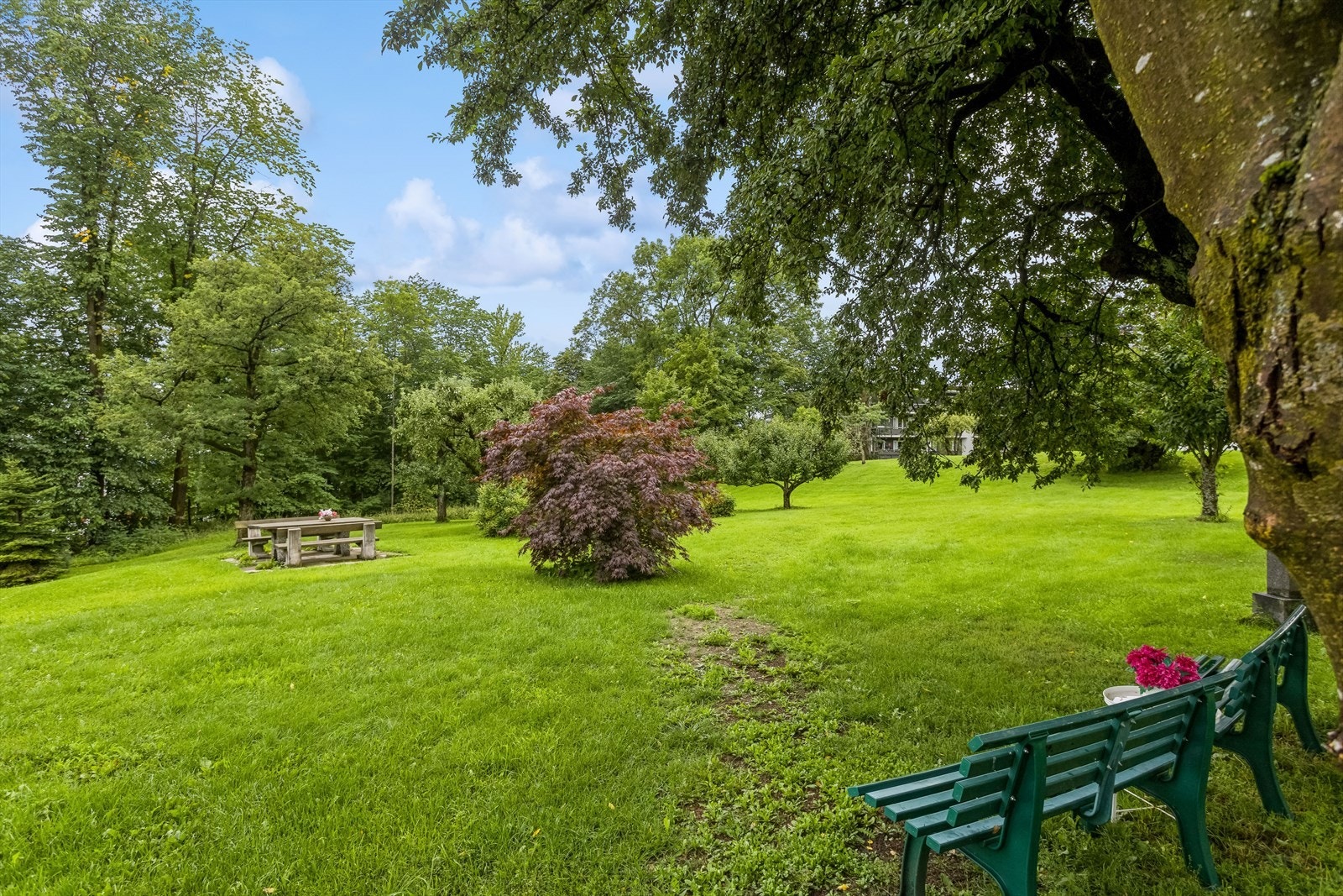 Her er det flere hyggelig benker og sitteplasser for en hyggelig tur eller piknik ute. Galleribilde