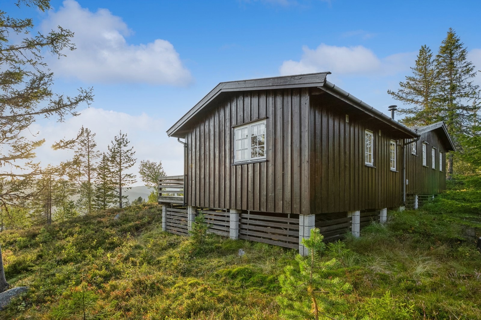 Tomten består for det meste av naturtomt, og like rundt hytten er det ryddet for trær og større busker. Galleribilde
