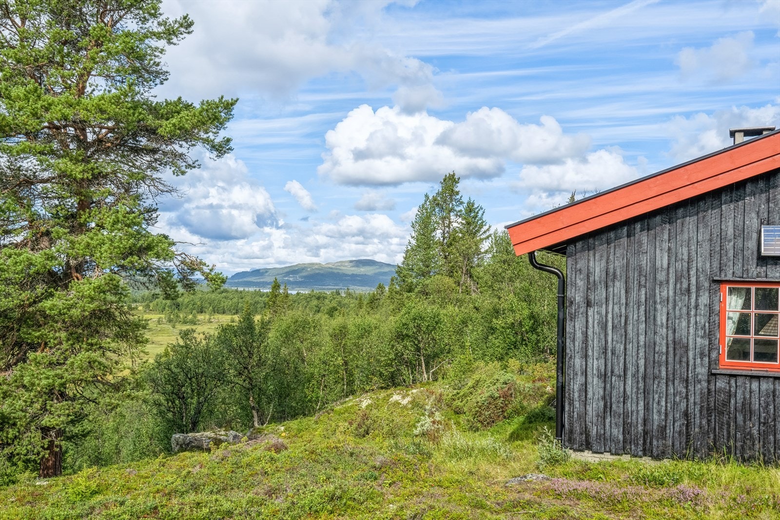 Synhauglie er et populært hytteområde med vakker natur og flotte turmuligheter. Galleribilde