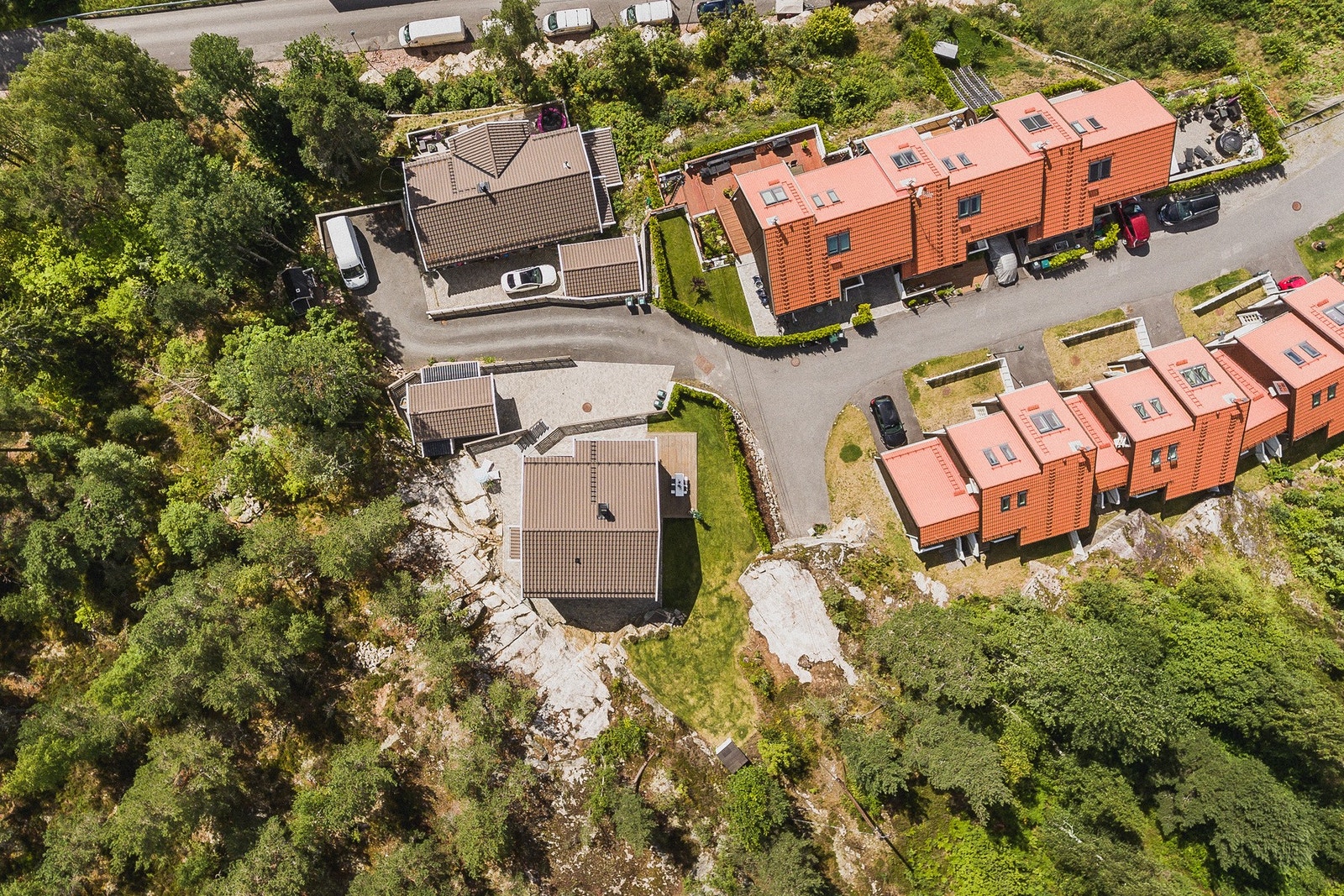 Høyt, fritt og usjenert. Galleribilde