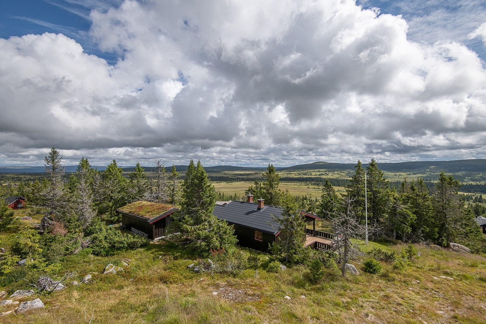 Flott utsikt utover fjellet og myrene. Galleribilde