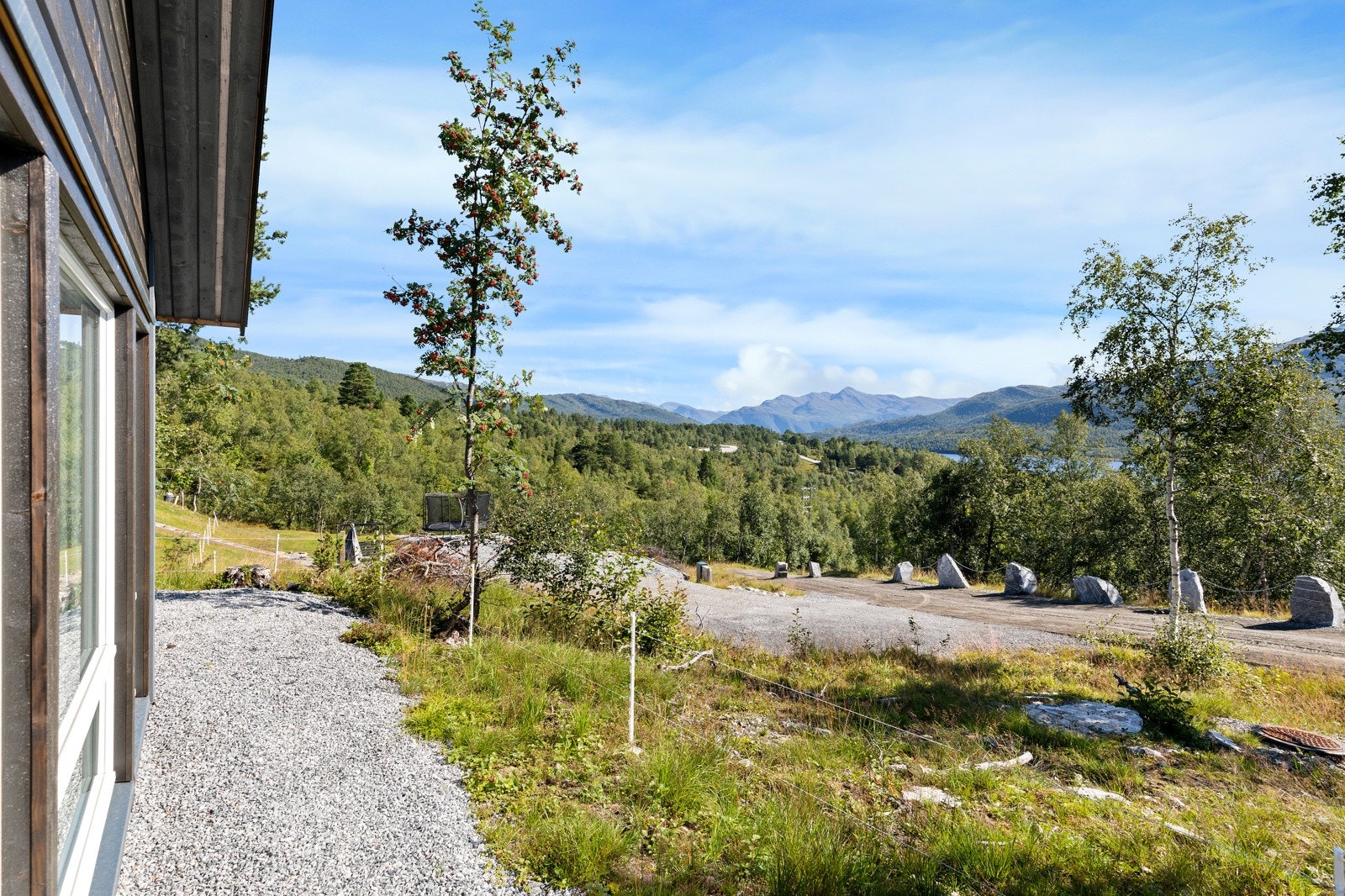 IMG_9243 Galleribilde