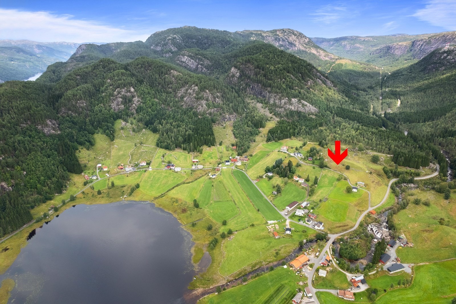 Tomten er råtomt/naturtomt. Galleribilde