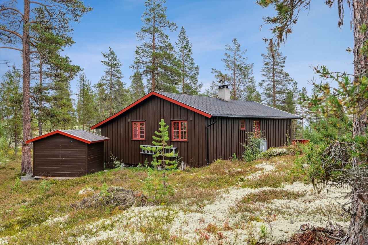 Hyttefeltet er et etablert hyttefelt med nærhet til oppkjørte skispor vinterstid og meget gode turmuligheter sommer og vinter Galleribilde