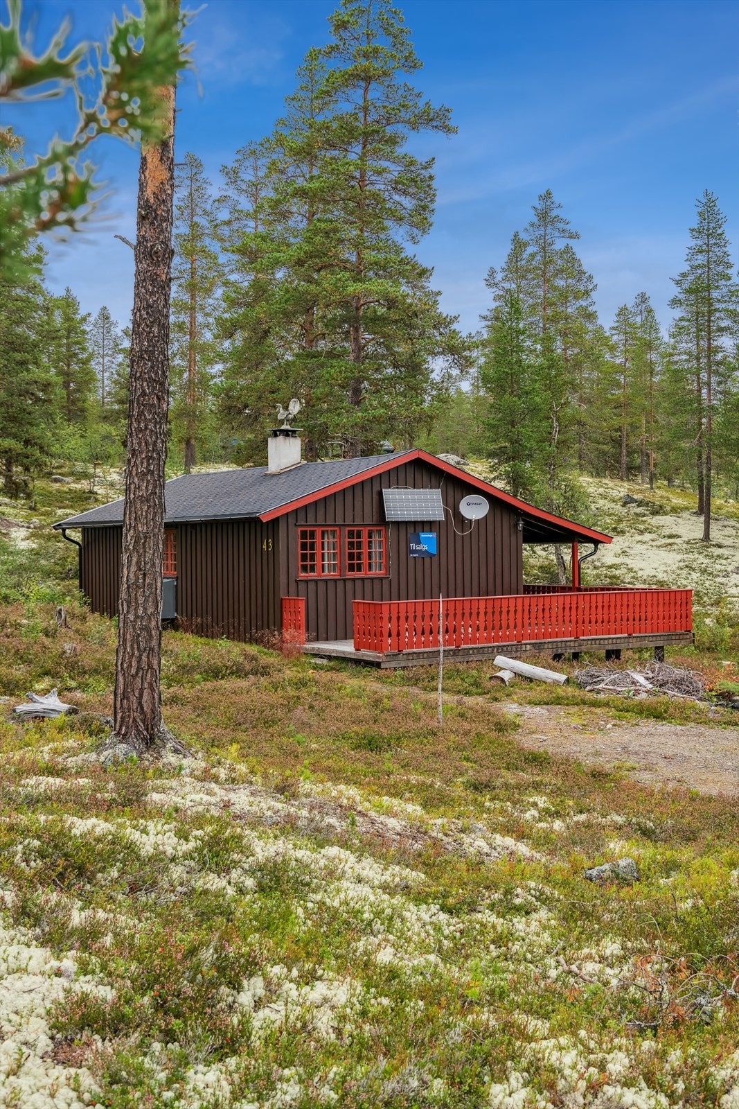 Hytta ligger fint til i terrenget omgitt av stedlig vegetasjon Galleribilde