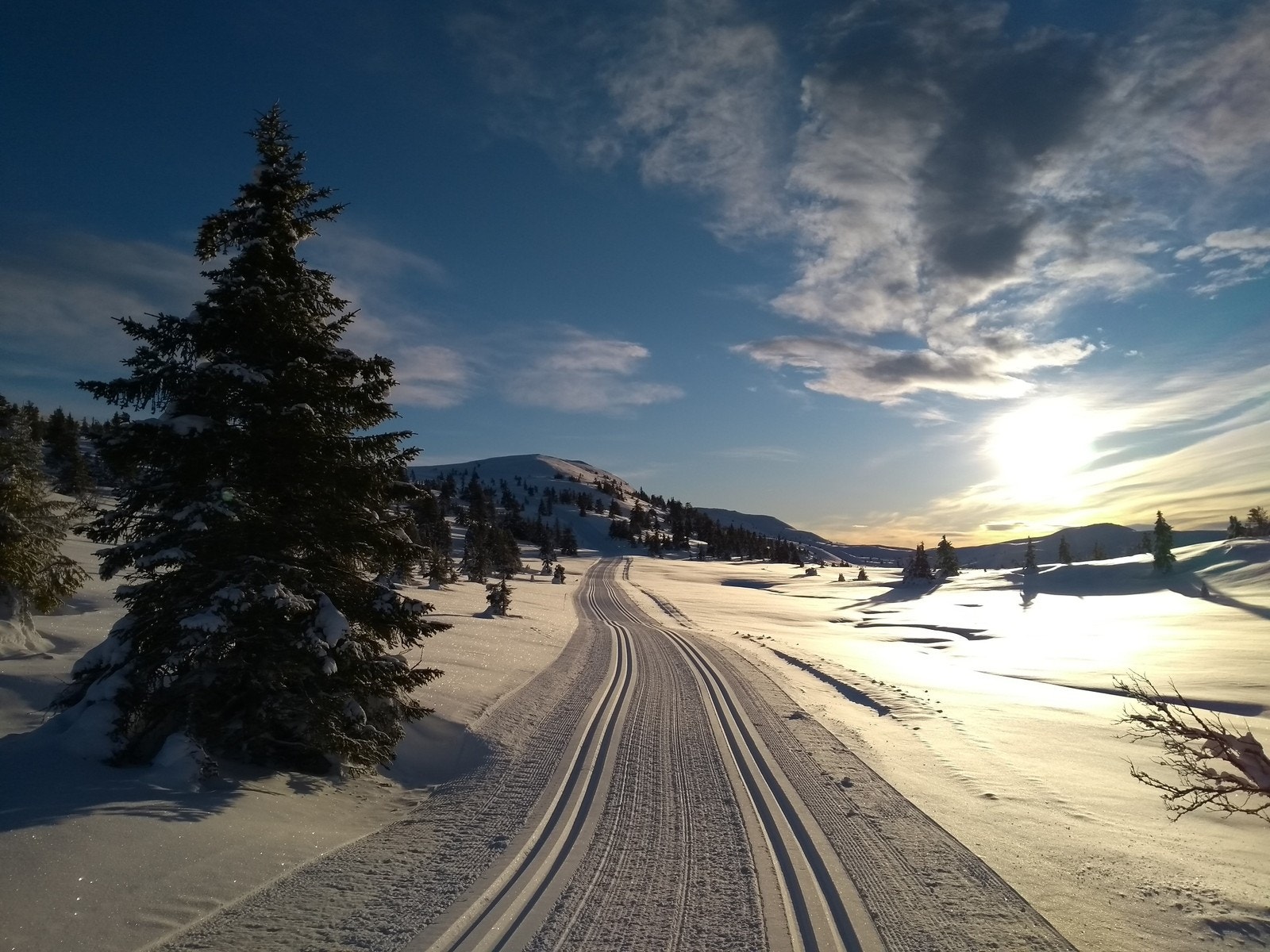 Langrenn i solnedgangen Galleribilde