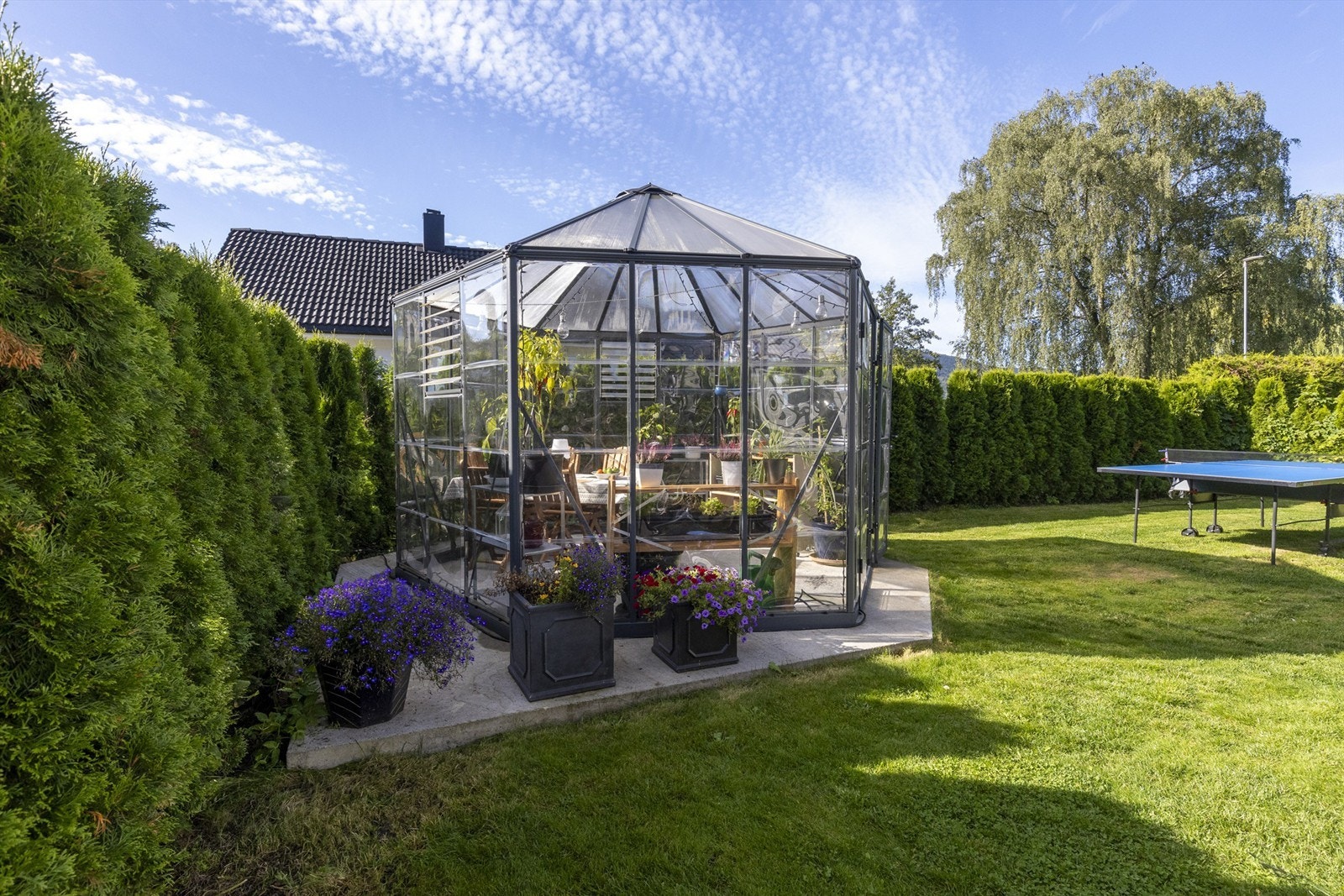 Østvendt markterrasse fra 2020 på ca. 17 kvm belagt med heller samt drivhus/paviljong Galleribilde