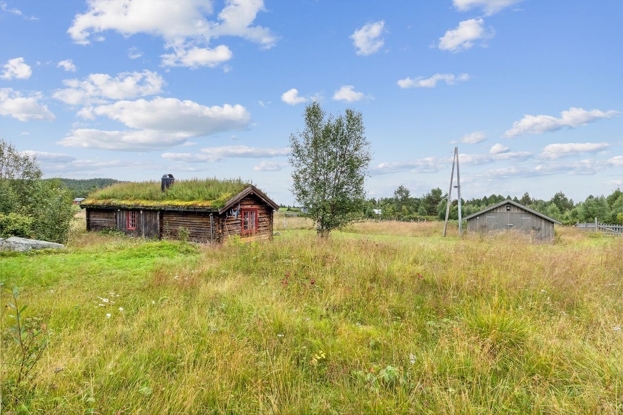 Tomten er inngjerdet med nettinggjerde. Galleribilde