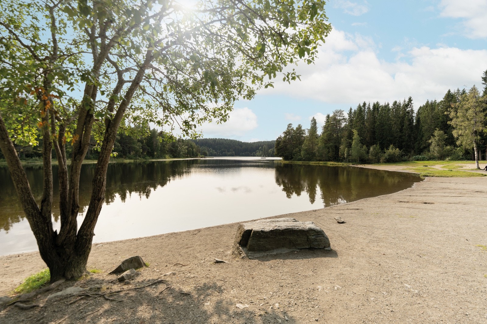 Haukvatnet ligger kun 150 meter fra boligen og er kanskje en av byens beste turstier her er det asfaltert rundt hele vannet. På vinterstid er det mulig å gå på skøyter. Galleribilde