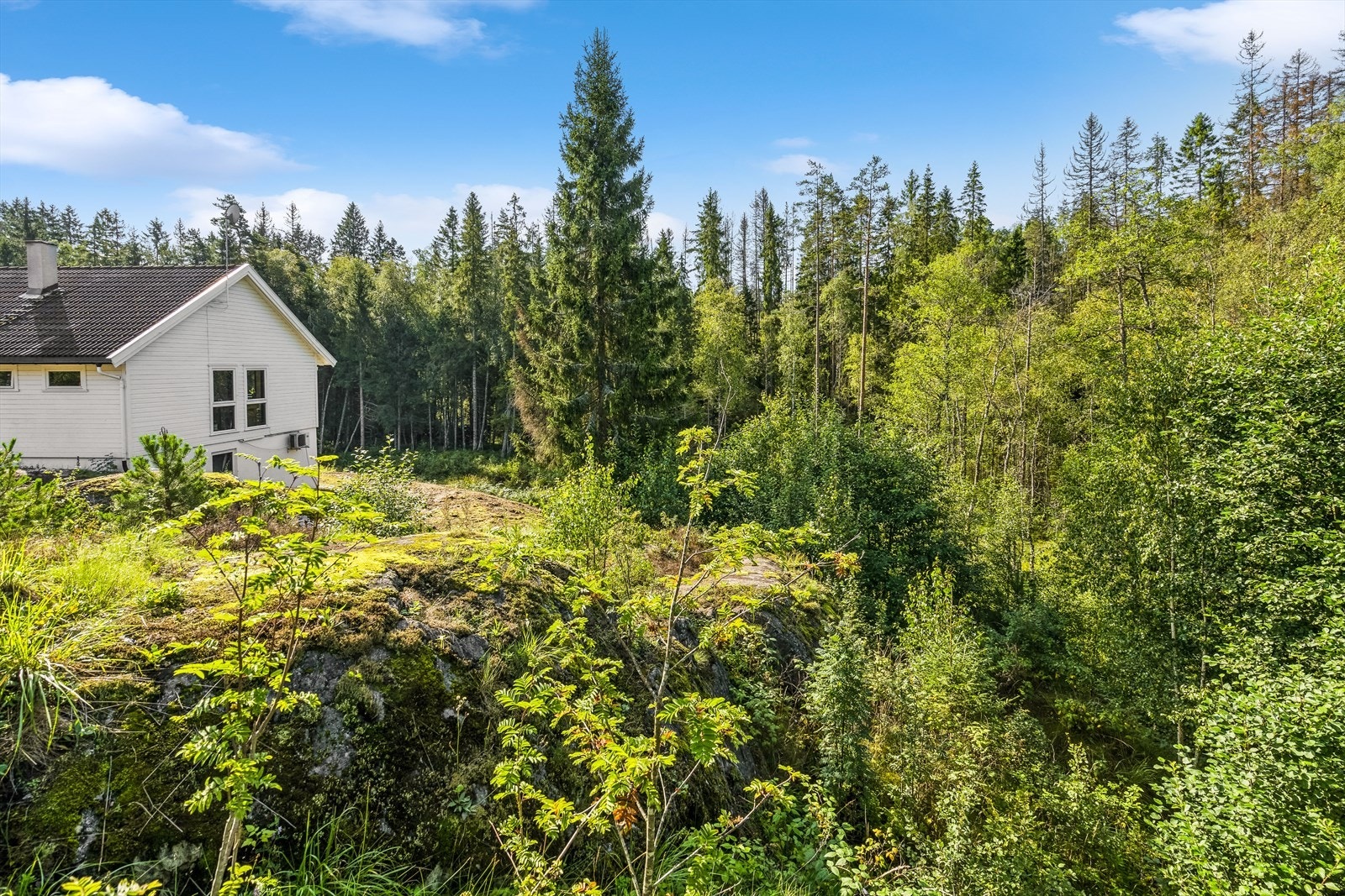 Landlig og fredelig område Galleribilde