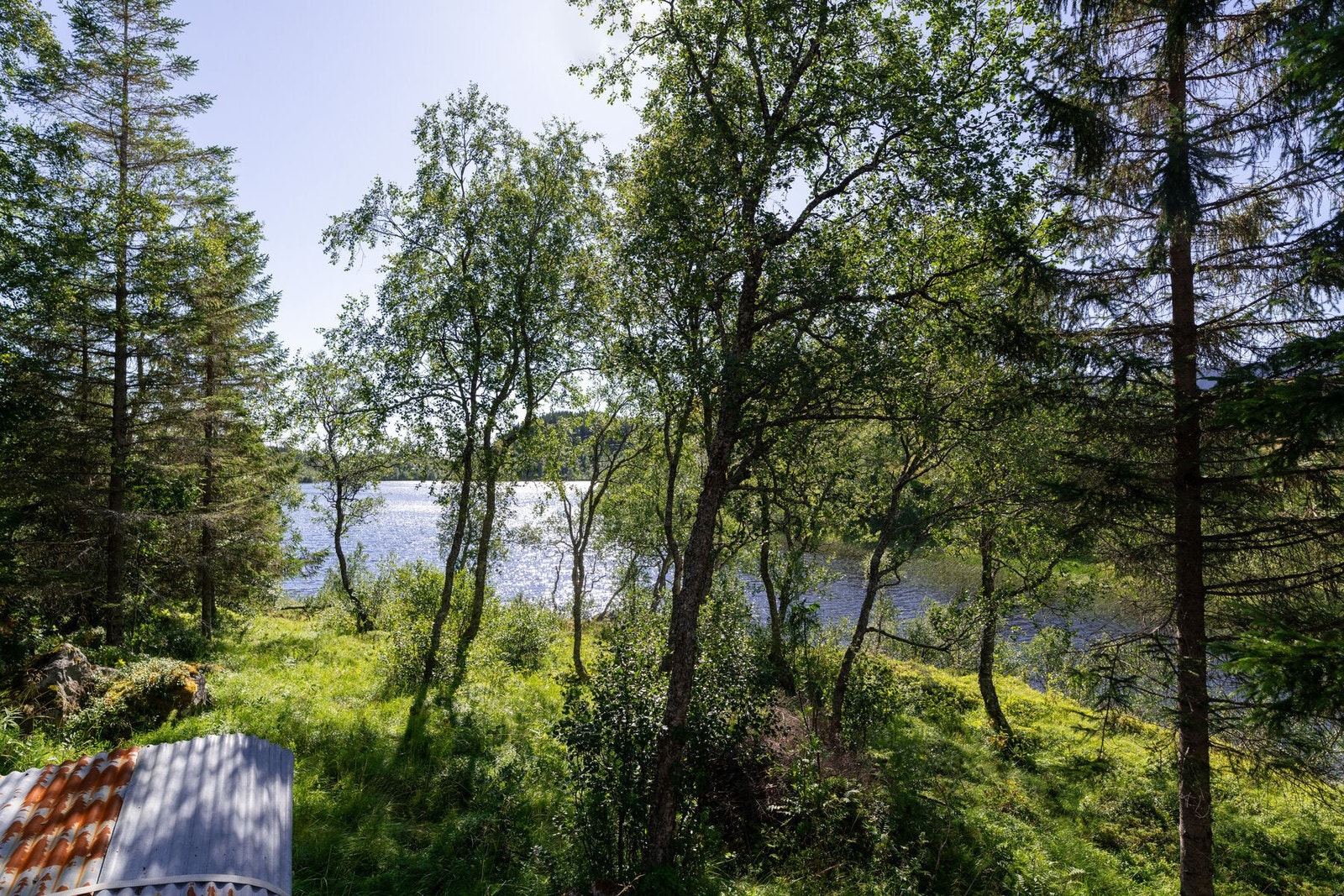 Naturskjønn utsikt fra verandaen. Galleribilde