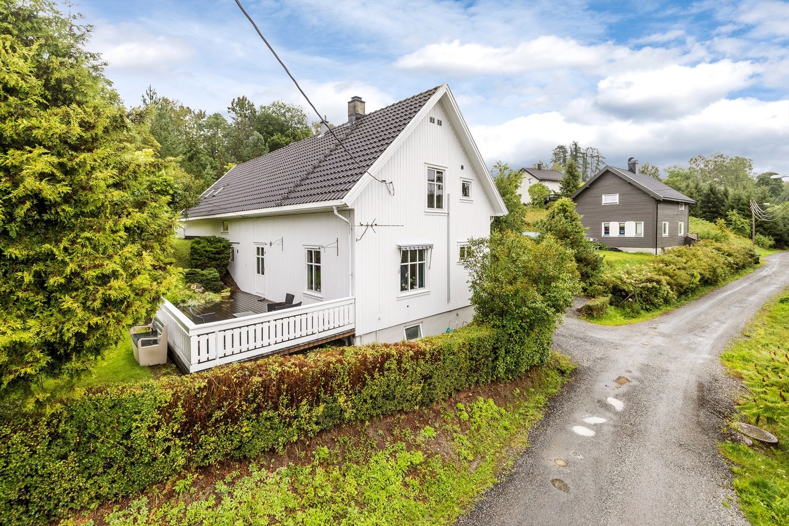 Velkommen til visning! Galleribilde