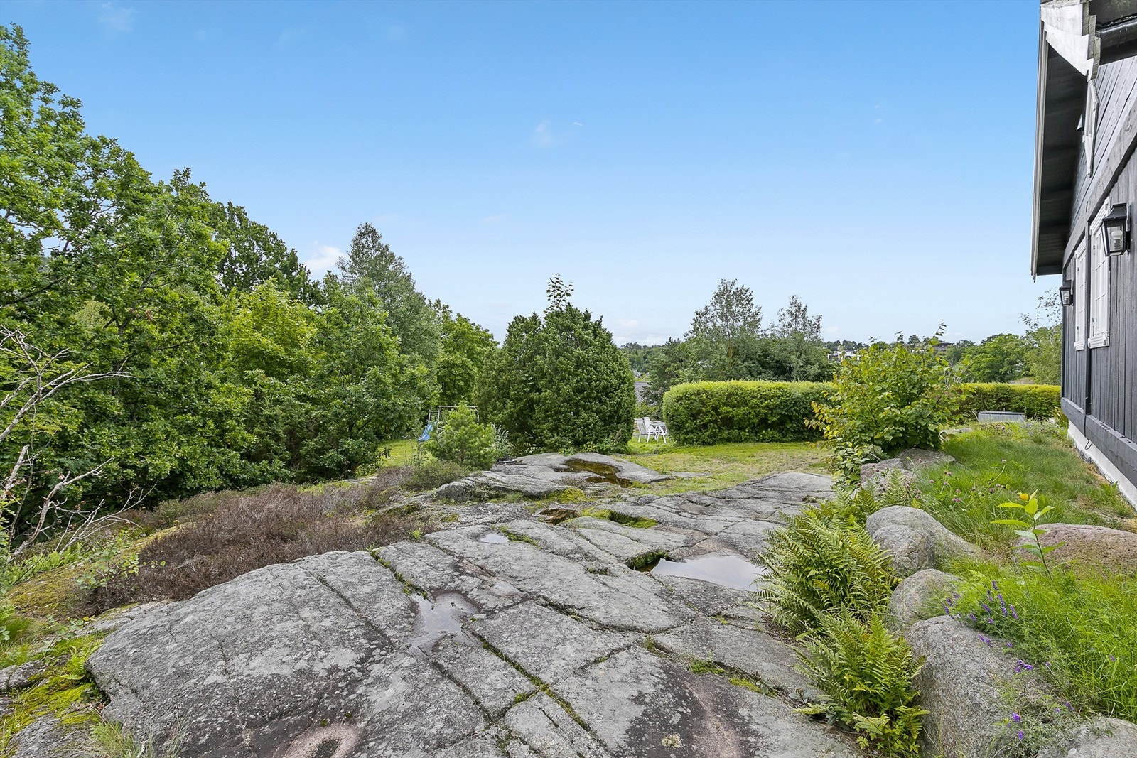 Mye diverse beplantning og naturtomt Galleribilde