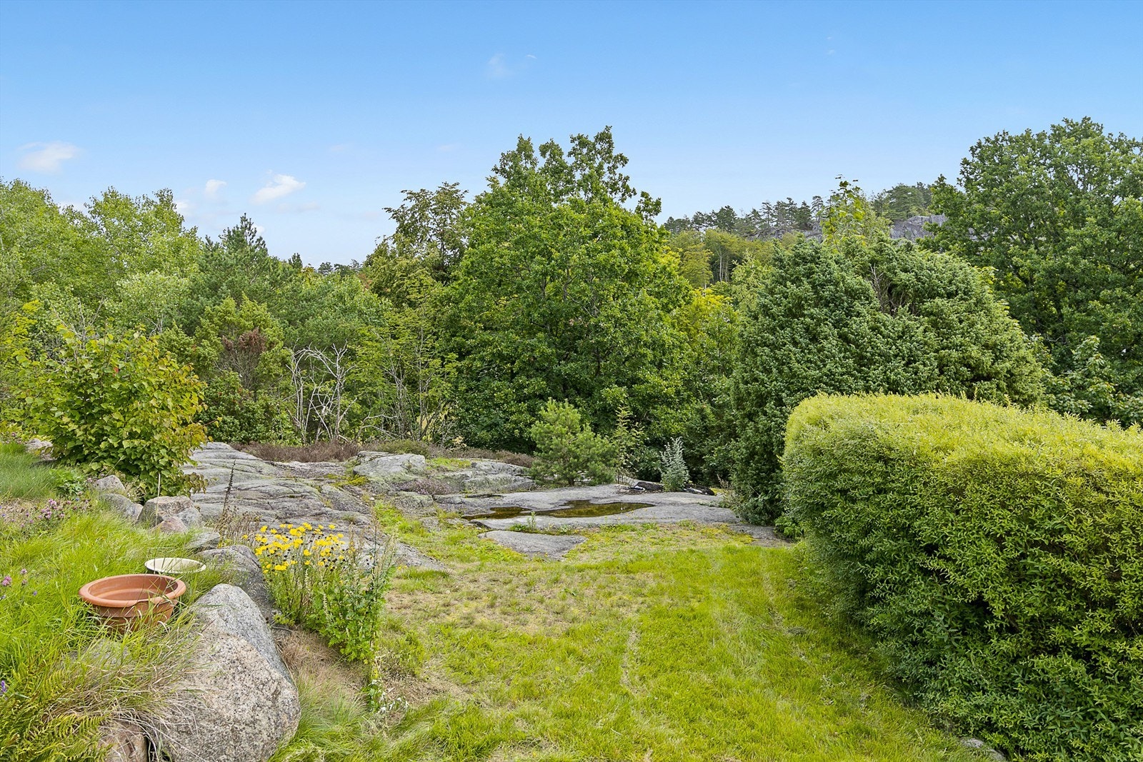 Med over 4,8 mål tomt har man mye plass å boltre seg på Galleribilde