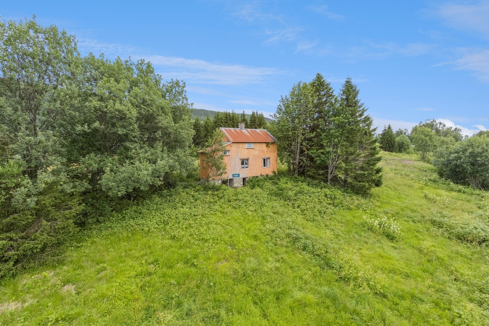 Frodige nærområder. Galleribilde