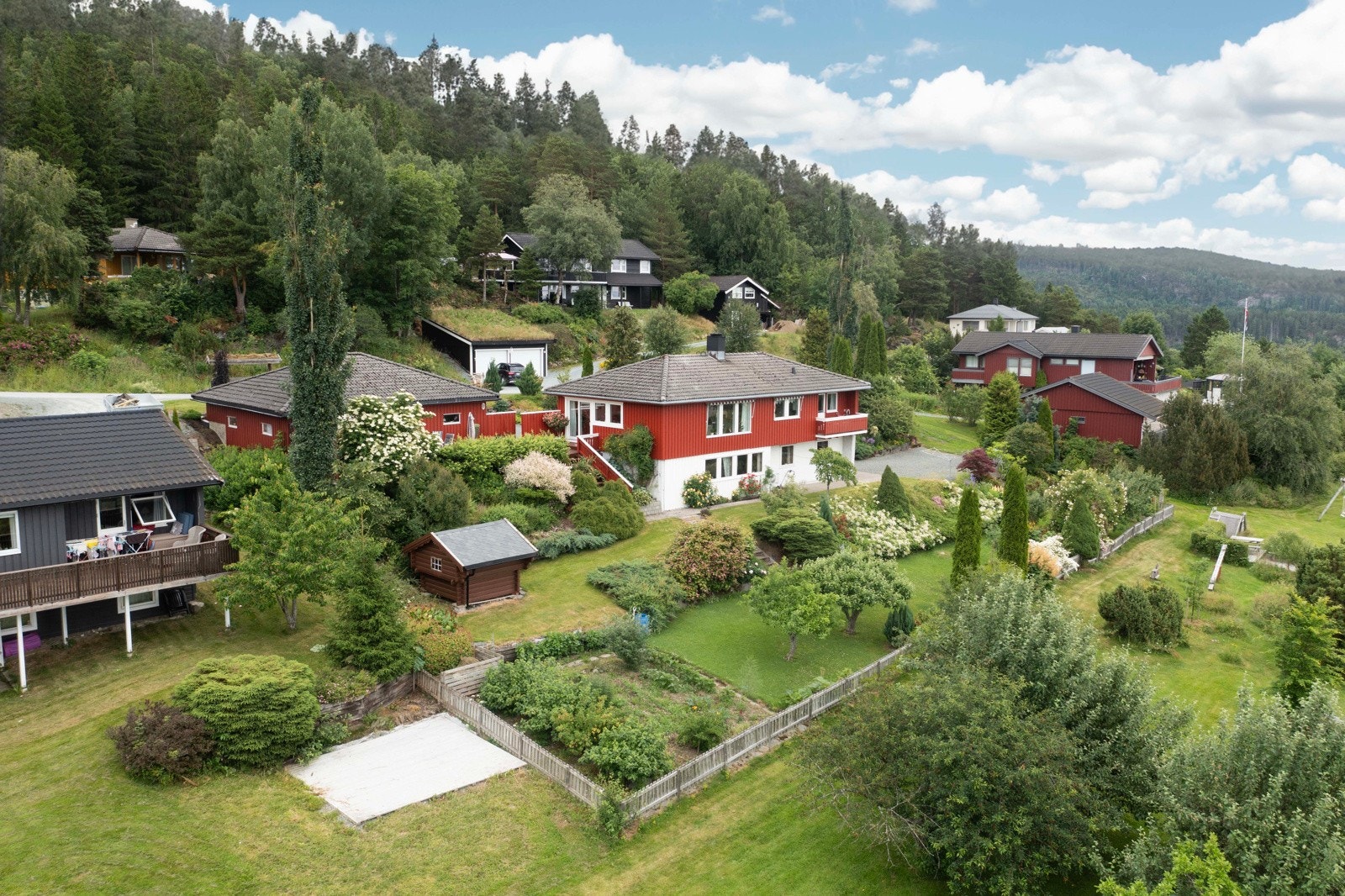 Dronefoto boligen og nærområdet Galleribilde