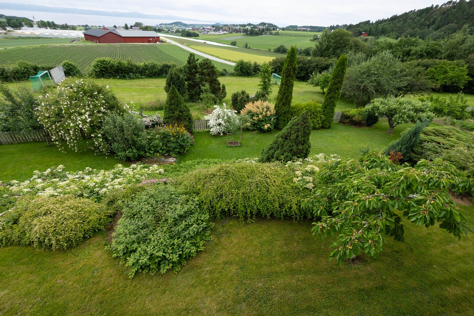 Hagen med bla. plomme og epletre. Galleribilde