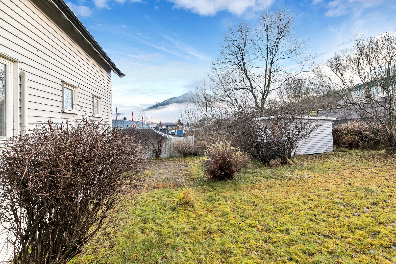 Opparbeidet hage med plenarealer, busker og hekk. Galleribilde