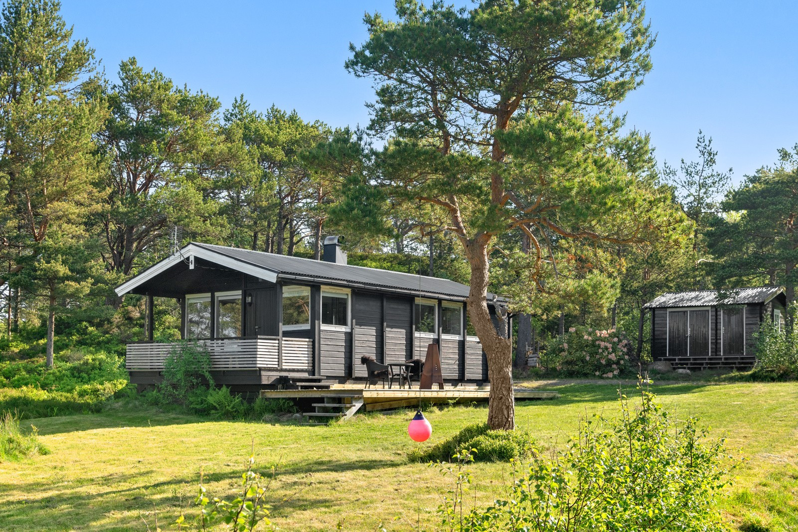 hovedbilde