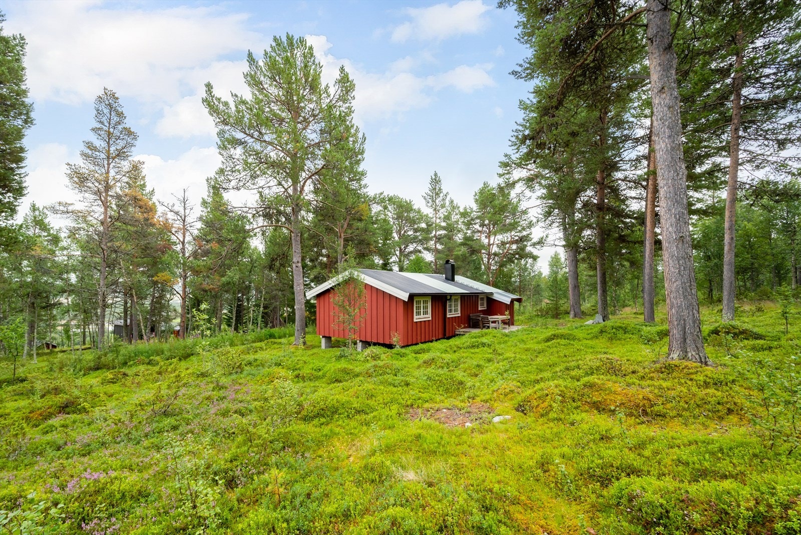 Uteområde Galleribilde