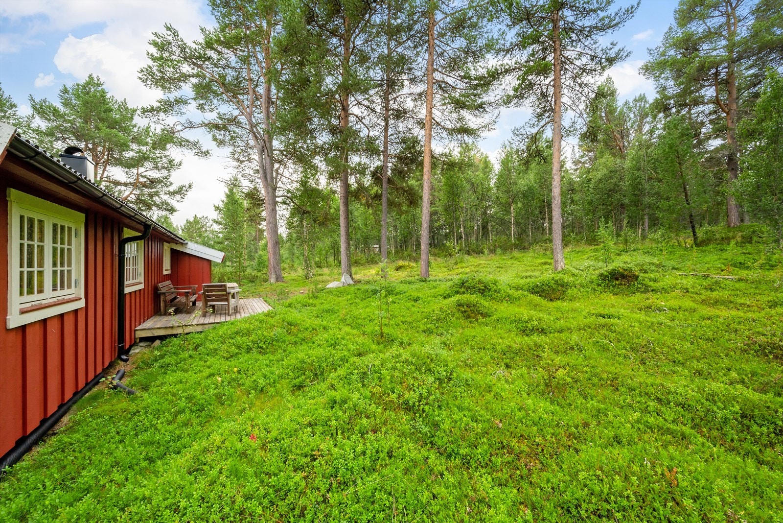 Uteområde Galleribilde
