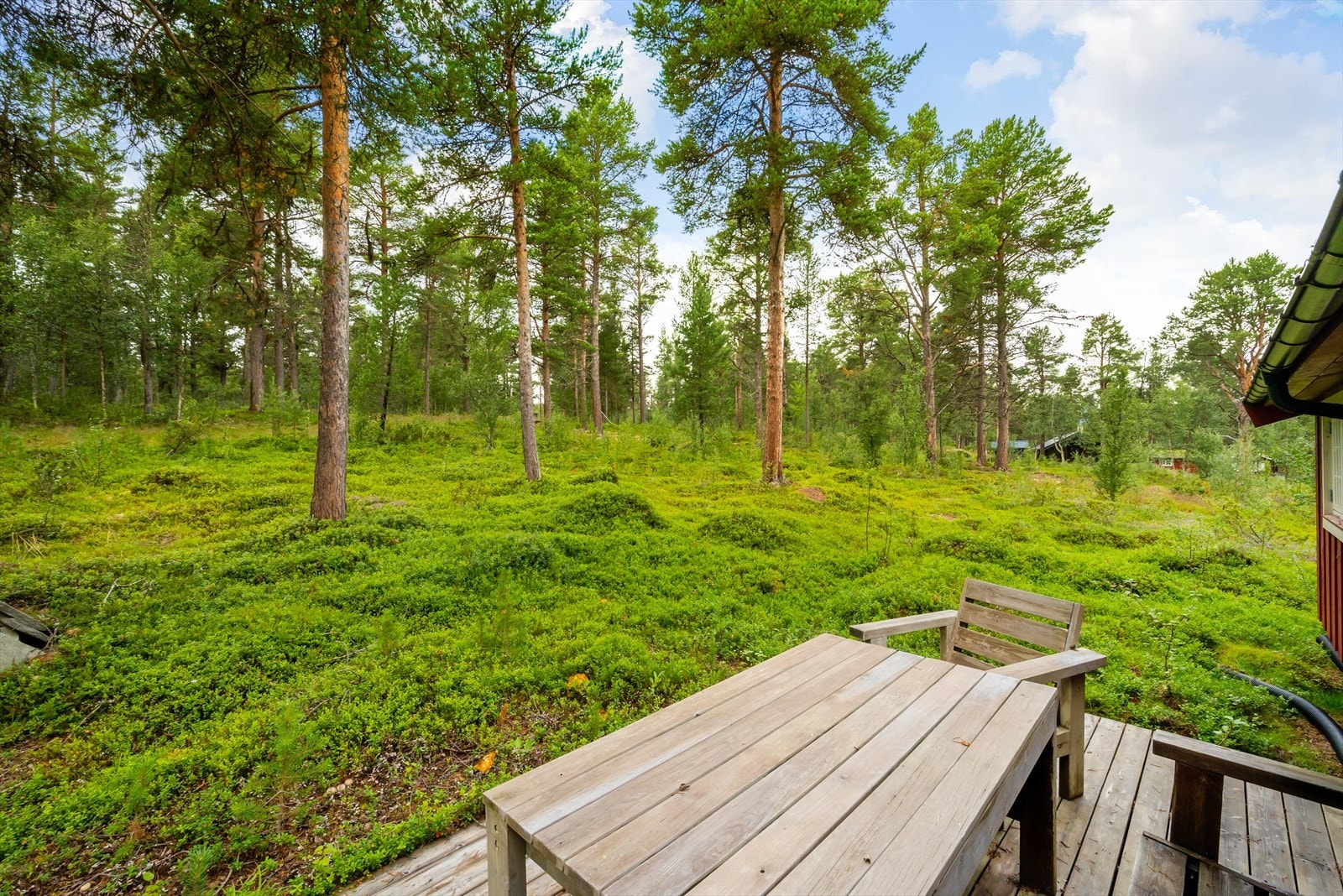 Uteområde Galleribilde