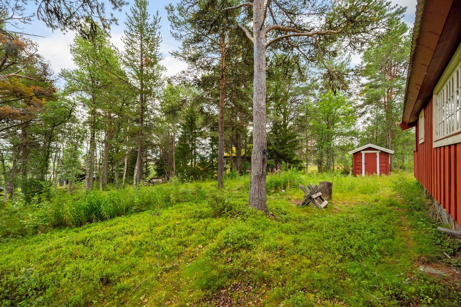 Uteområde Galleribilde
